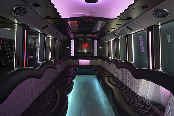 35 passenger party bus